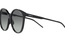 Vogue VO 5509S W44/11 56-17