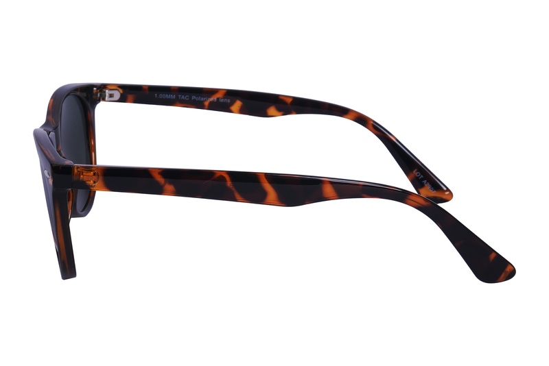 Polarview PV 70 B