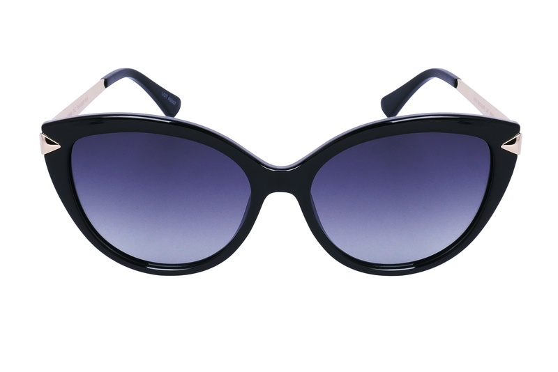 Polarview PV 850 A