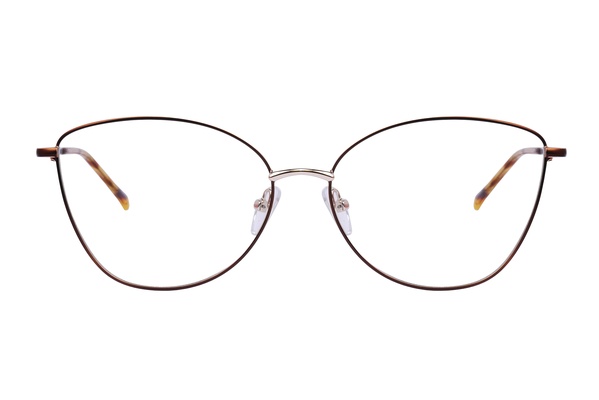 Diverso 1894 C2 57-16