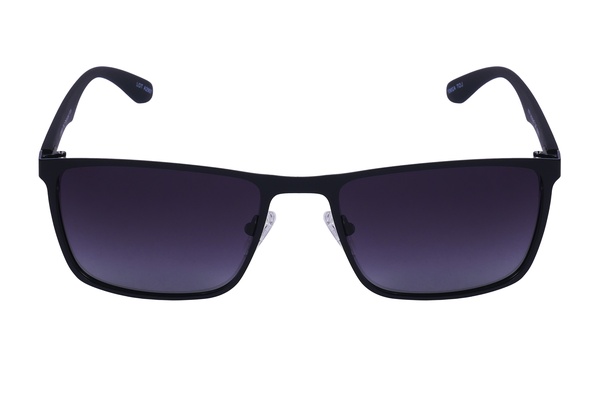 Polarview PV 500 A