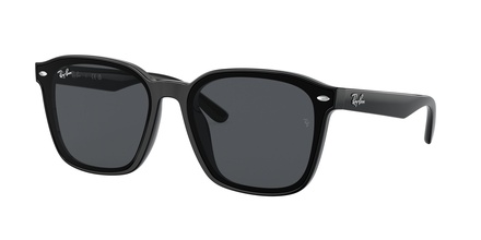 Rayban RB 4392D 601/87 66-17