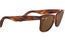 Rayban RB 2140 954 50-22