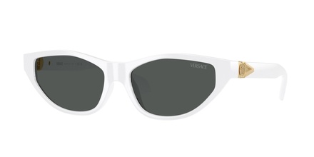 Versace 4491U 314/87 55-16