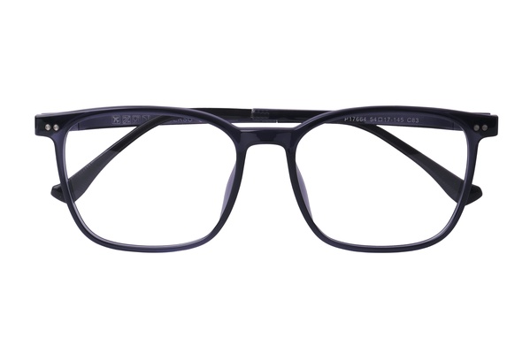 Diverso P 17664 C83 54-17