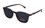 Polarview PV 400 B