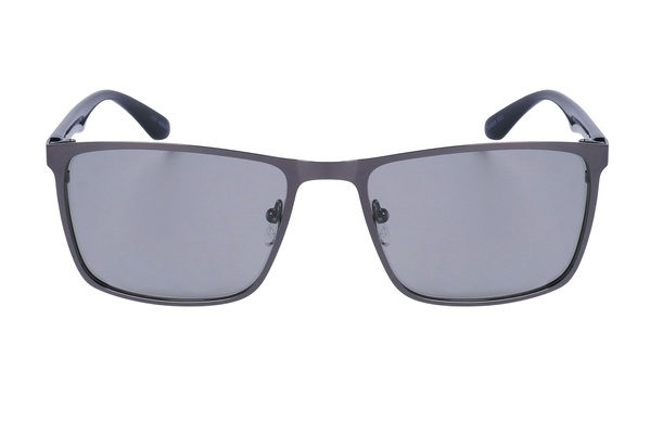 Polarview PV 500 F