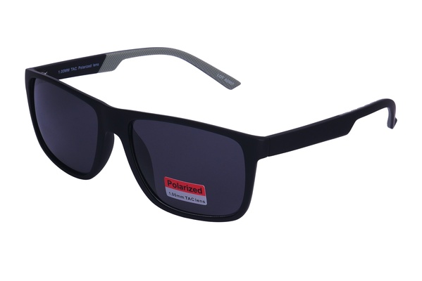Polarview PV 620 A