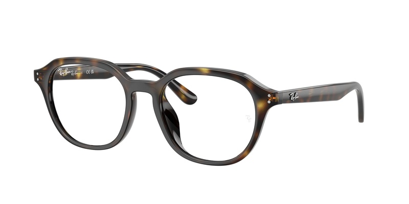 Rayban RB 7259D 2012 52-19