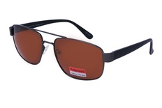 polarview, PV 520, vīriešiem, kvadrāts, polarized, metal