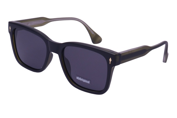 Aboriginal ABS 4310 AP