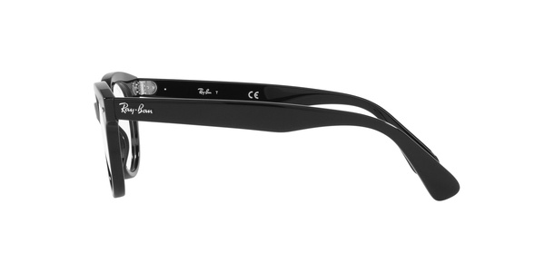 Ray-Ban RB 2199V 2000 50-22