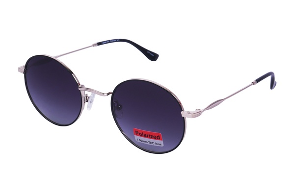 Polarview PV 700 D