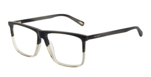 ted baker, 8240, vīriešiem, kvadrātveida, plastmasa