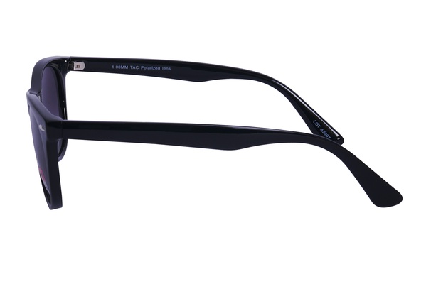 Polarview PV 70 A