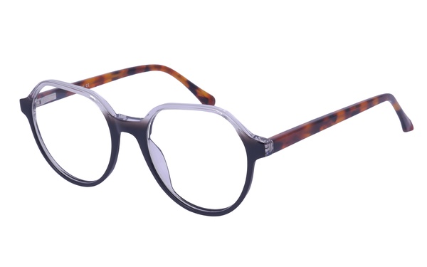 Icone 884302 C4 51-18