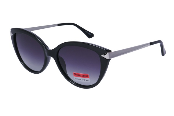 Polarview PV 850 B