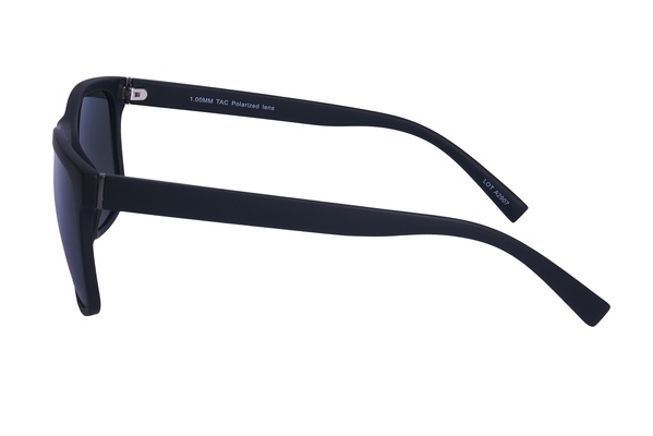 Polarview PV 610 C