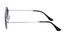 Polarview PV 100 A