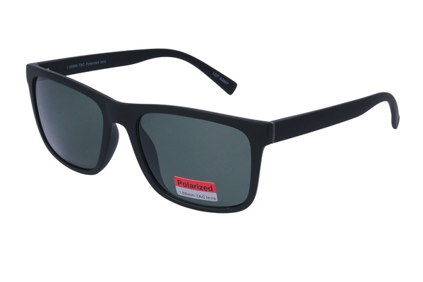 Polarview PV 610 C