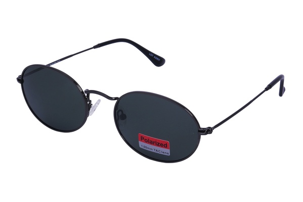 Polarview PV 100 B