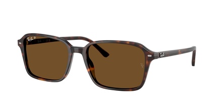 Rayban RB 2231 902/57 56-18