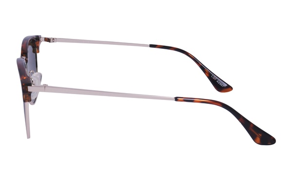 Polarview PV 300 B