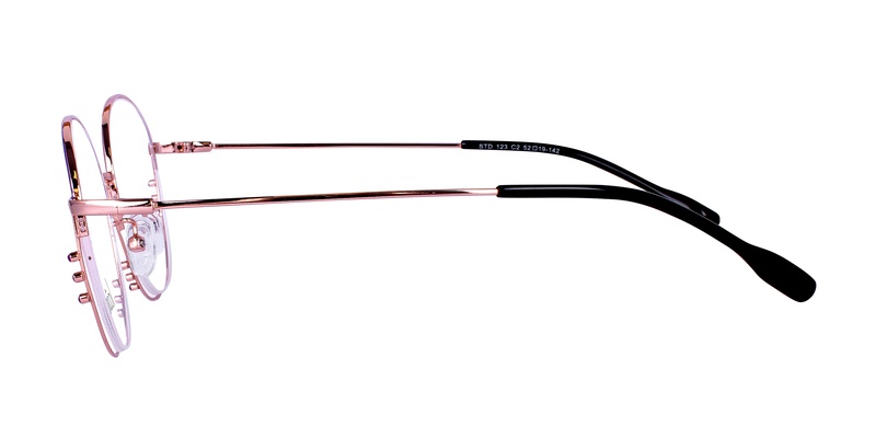 Icone STD 123 C2 52-19