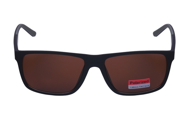 Polarview PV 620 B