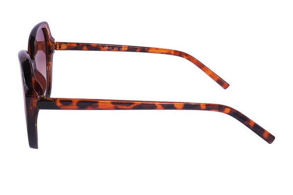 Trendy M 379 C2 55-17