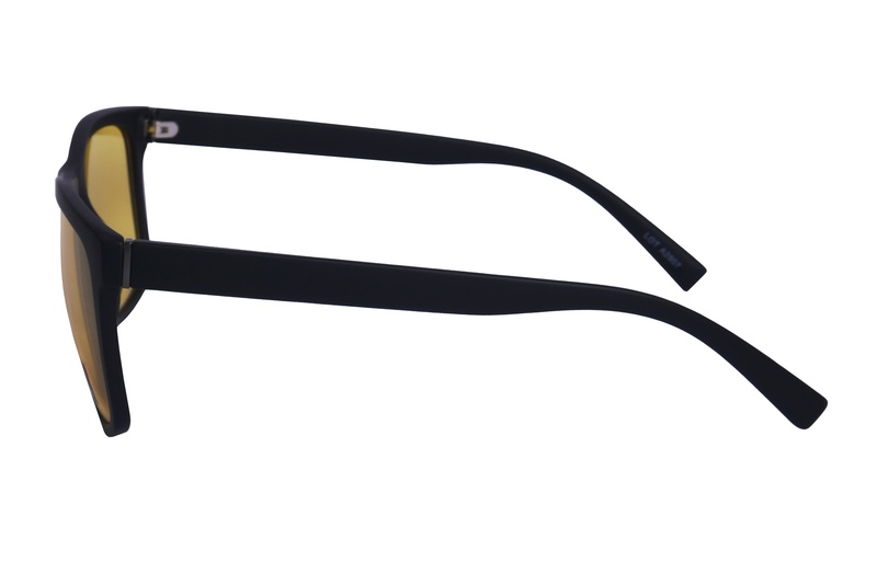 Polarview PV 610 D