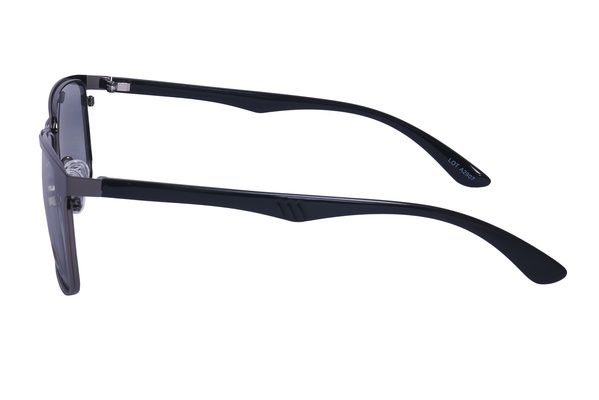 Polarview PV 500 F