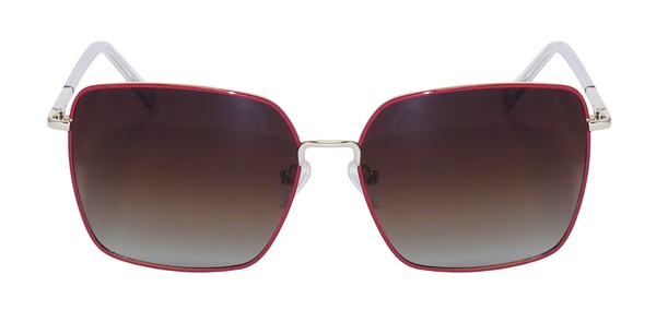 Icone GF 100 C2 56-16