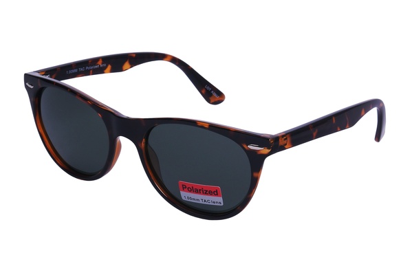 Polarview PV 70 B