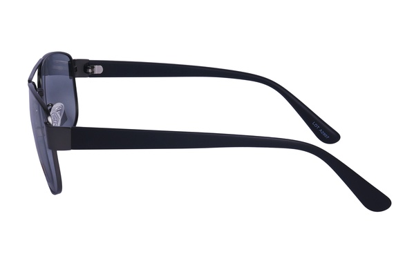 Polarview PV 520 F