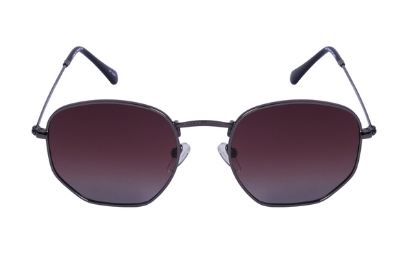 Polarview PV 10 D