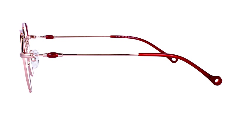 Icone STD 124 C1 53-17