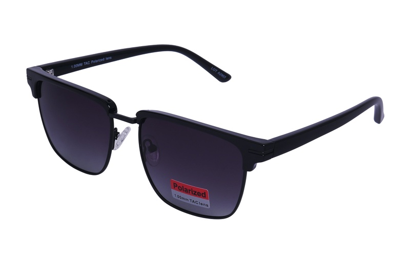 Polarview PV 310 A