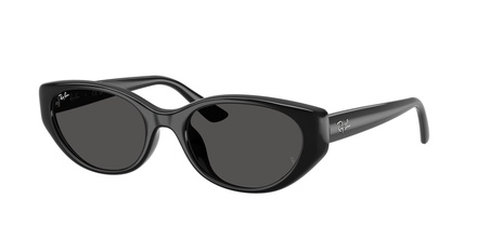 Rayban RB 4457D 6677/87 55-19