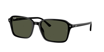 Rayban RB 2231 901/31 56-18