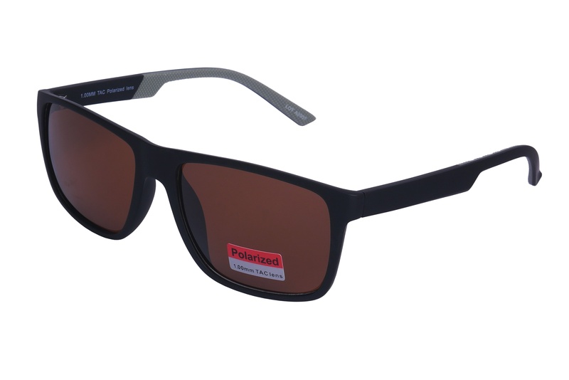 Polarview PV 620 B