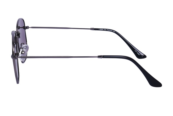 Polarview PV 10 D