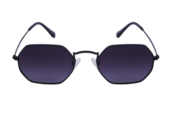 Polarview PV 110 C