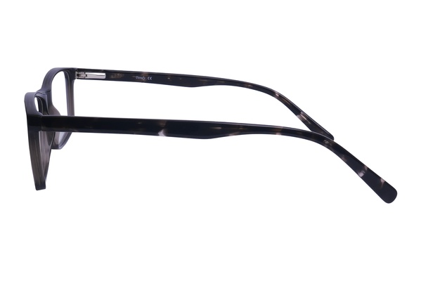 Trendy LS8136 C2 55-17