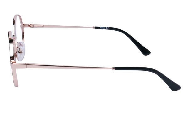 Icone HG 6078 C3 51-20