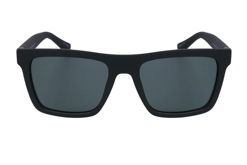 Polarview PV 650 C