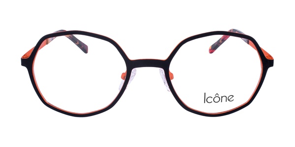 Icone 96127 C4 49-20