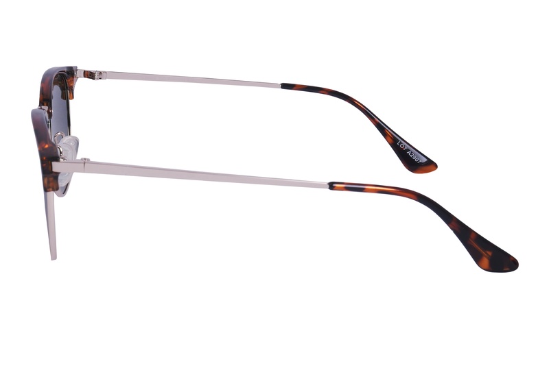 Polarview PV 300 B