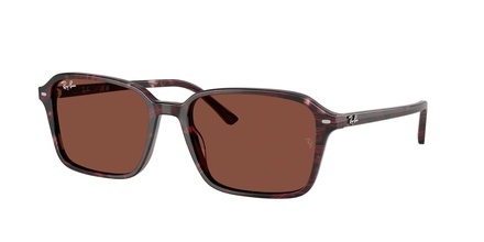 Rayban RB 2231 1416/C5 56