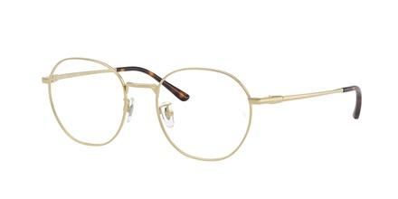 Rayban RB 8778D 1251 52-19